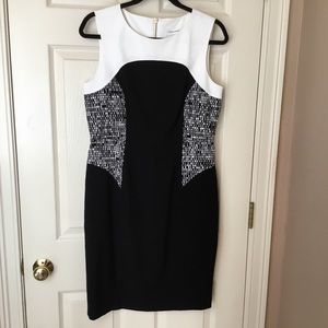 Calvin Klein Black/White Sleeveless Sheath Dress 8